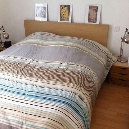 Apartmán T3 3 Etoiles Hyper Centre Luchon Bagnères-de-Luchon Exteriér fotografie
